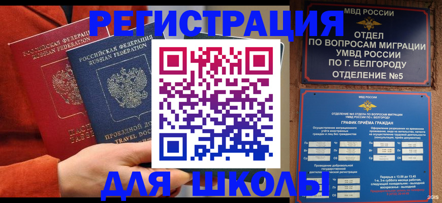 прописка в Александровске